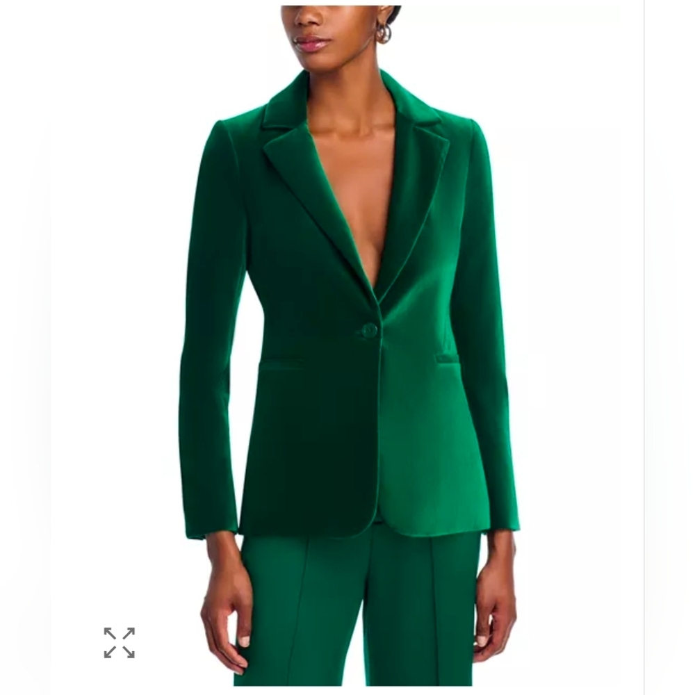 Alice and OliviaMacey Notch Collar Velvet Blazer Size 2